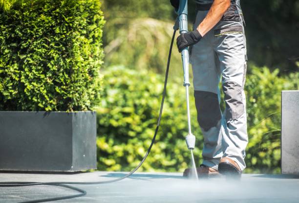 Best Dumpster Area Cleaning  in Salamanca, NY