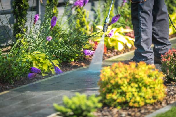 Best Pool Deck Cleaning  in Salamanca, NY