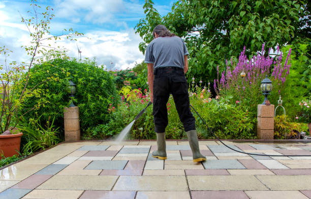 Best Animal Enclosure Cleaning  in Salamanca, NY