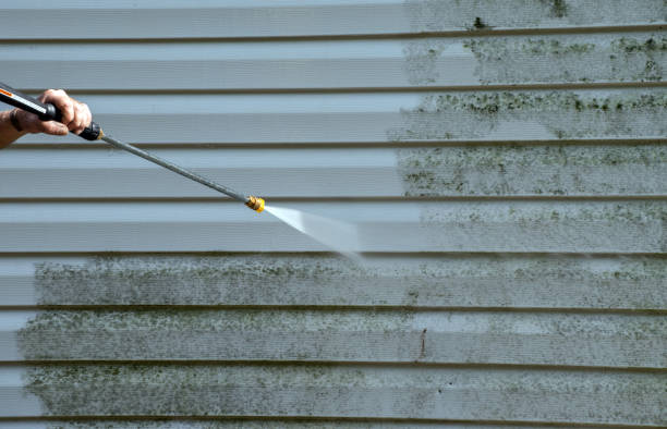 Best Gutter Cleaning  in Salamanca, NY